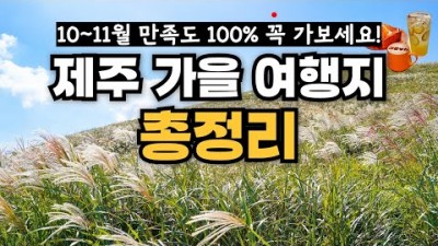 반려동물 입장도 가능한 제주도 가을 억새 명소 가볼만한곳 베스트5 가보세요!