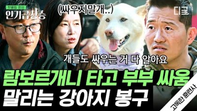 고독한 훈련사 강형욱 전원주택