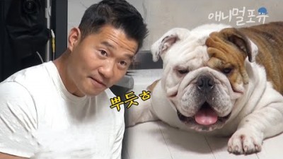 개는 훌륭하다 강형욱 과격한 걸로도 모자라 입질까지 하는 불도그 뚱이를 하루 만에 완벽하게 훈련시킨 개통령